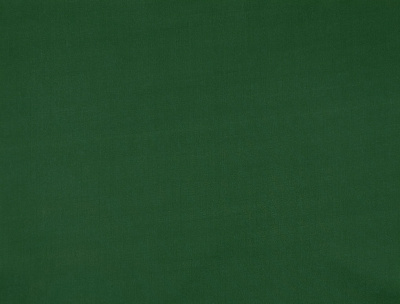 Ткань подкладочная Таффета 100% п/э 53г/м2 190Т PU "Silver" ширина 150см цвет 222 зеленый