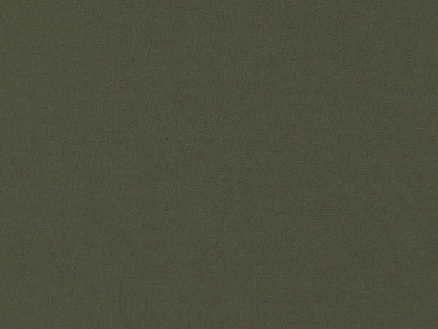 Ткань Дюспо 240Т PU "Milky" 100% п/э 80г/м2 ширина 150см цвет 423 хаки